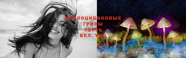 альфа пвп Баксан