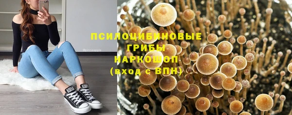 альфа пвп Баксан